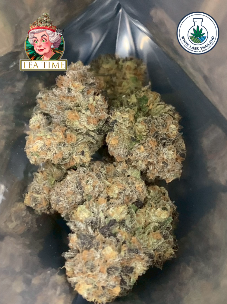 Tea Time – Smooth, Sweet Hybrid With Calm Balanced Vibes Tea Time hybrid cannabis flower with frosty green buds, sweet vanilla aroma, and warm orange pistils.
