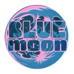 Blue Moon cannabis bud with frosty trichomes and blueberry aroma.