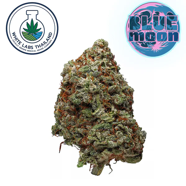 Blue Moon cannabis flower with blueberry cream aroma.