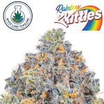 Rainbow Zkittles