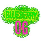 Blueberry OG delivers dense frost, rich berry aroma, and that unmistakable OG gas finish. Thick trichomes, deep blue-green hues, and bold terpene expression make this phenotype a standout. Smooth, flavorful, and crafted with premium indoor precision.