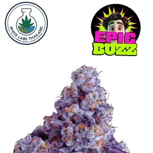 Epic Buzz 1 gram