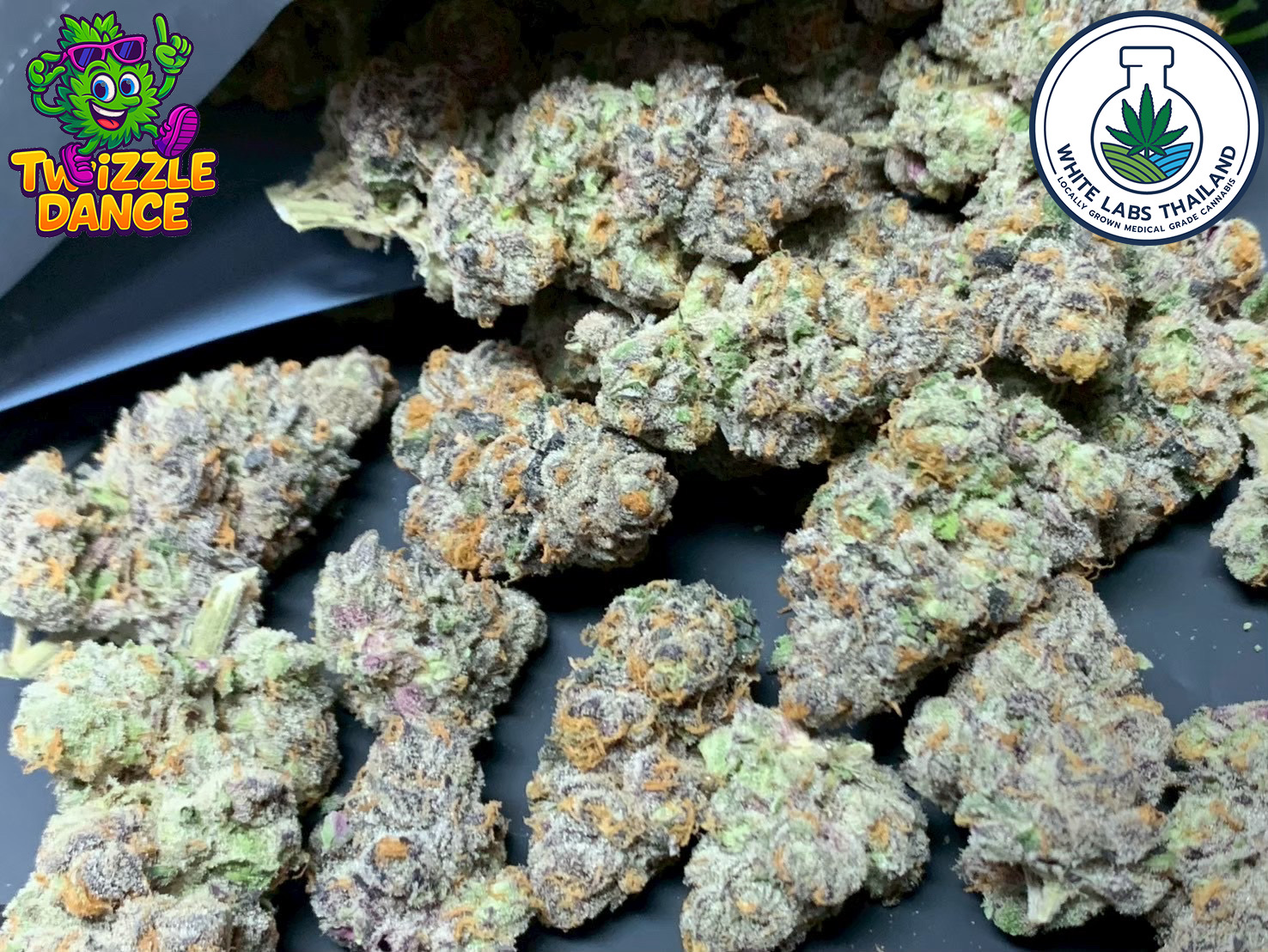 twizzle dance candy sweet indoor cannabis crystal trichomes pattaya