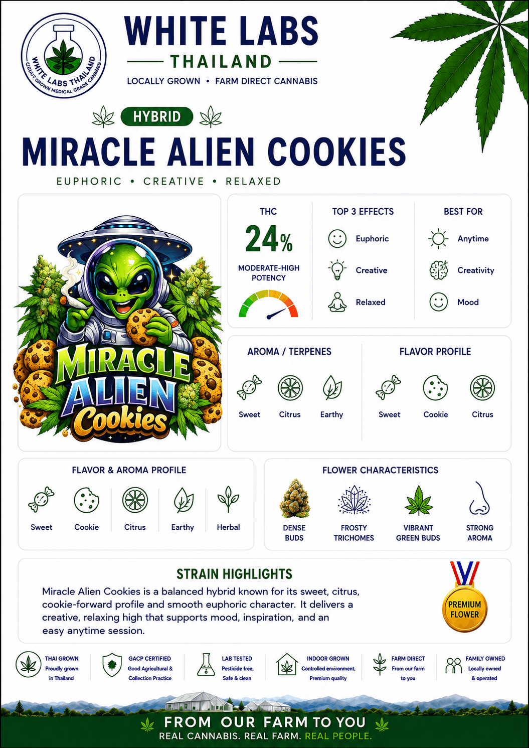 Miracle-Alien-Cookies-detail