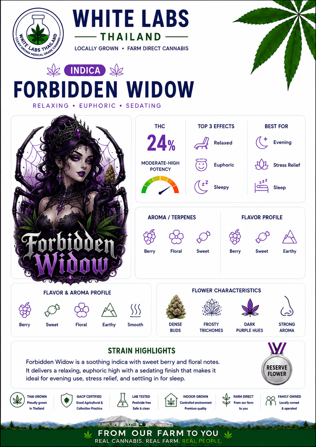 forbidden-widow-detail