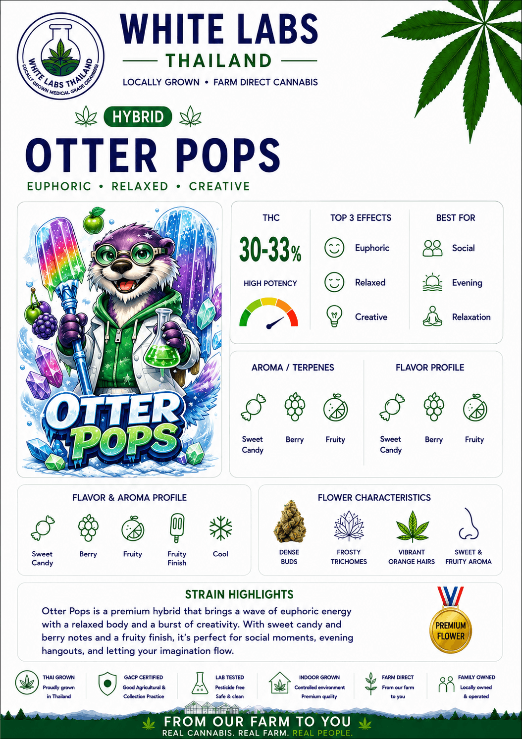 otter-pops-detail
